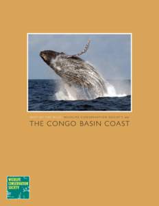 B E S T O F T H E W I L D : W I L D L I F E C O N S E R V A T I O N S O C I E T Y and  THE CONGO B ASIN COAST B E S T O F T H E W I L D : W I L D L I F E C O N S E R V A T I O N S O C I E T Y and