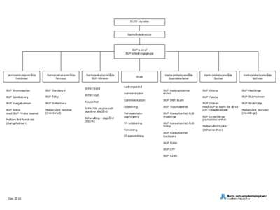 SLSO styrelse  Sjukvårdsdirektör BUP:s chef BUP:s ledningsgrupp