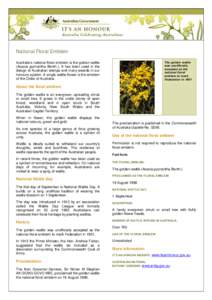 National Floral Emblem Australia’s national floral emblem is the golden wattle (Acacia pycnantha Benth.). It has been used in the design of Australian stamps and many awards in our honours system. A single wattle flowe