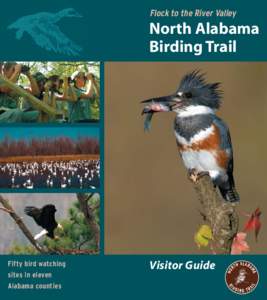 Flock to the River Valley  North Alabama North Alabama Birding