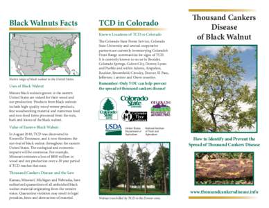 Black Walnuts Facts  TCD in Colorado Known Locations of TCD in Colorado  Native range of black walnut in the United States.
