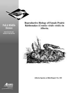 Reproductive Biology of Female Prairie Rattlesnakes (Crotalus viridis viridis) in Alberta. Alberta Species at Risk Report No. 103