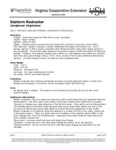 Eastern Redcedar Juniperus virginiana Alex X. Niemiera, Associate Professor, Department of Horticulture Summary: Foliage: Scale-like except awl-like when young; evergreen Height: About 40 feet