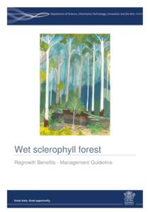 Mediterranean forests /  woodlands /  and scrub / Sclerophyll / Syncarpia glomulifera / Wildfire / Rainforest / Eucalyptus resinifera / Flora of New South Wales / Natural history of Australia / Flora of Australia