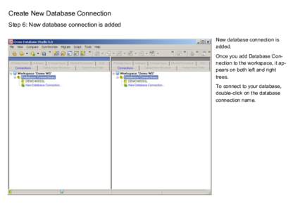 Create New Database Connection Step 6: New database connection is added New database connection is added. Once you add Database Connection to the workspace, it appears on both left and right trees.