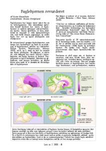 Fuglehjernen revurderet Af Karin Neuschutz oversættelse: Nanna Hvelplund Her følger et referat af et resume, forfattet af Sandra Blakeslee i (New Times, februar