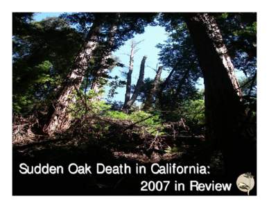 SUDDEN OAK DEATH  IN  CALIFORNIA