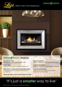 Direct Vent Gas Fireplaces Features