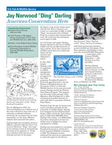 U.S. Fish & Wildlife Service  Jay Norwood “Ding” Darling American Conservation Hero Considerable Achievements ■ Pulitzer Prize Winner,