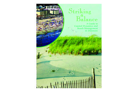 Striking a Balance A Guide to Coastal Dynamics and Beach Management