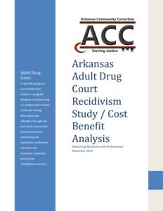 Arkansas Adult Drug Court Project