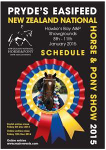 Equestrianism / Equestrian sports / Pony / Show hunter / Welsh Pony and Cob / Show hack / Cob / Riding Horse / Horse / Equidae / Equus / Breeding