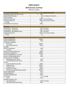 Microsoft Word - POPE COUNTY 2014 Service and Fees (3).docx