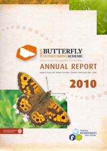 Leptidea / Marsh Fritillary / Butterfly / Brown Hairstreak / Pearl-bordered Fritillary / Lepidoptera / Dismorphiinae / The Burren