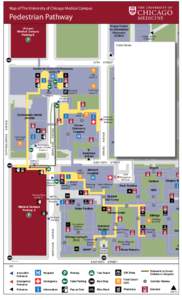 Map of The University of Chicago Medical Campus Ac Pedestrian Pathway  Knapp