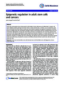 Epigenetics / Developmental biology / Carcinogenesis / Biotechnology / Stem cell niche / Adult stem cell / Cellular differentiation / Stem cell / Epigenomics / Biology / Genetics / Stem cells