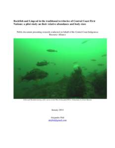 Rockfish and Lingcod in the traditional territories of Central Coast First Nations: a pilot study on their relative abundance and body sizes Public document presenting research conducted on behalf of the Central Coast In