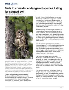 Feds to consider endangered species listing for spotted owl