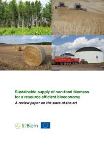 Sustainable supply of non-food biomass for a resource efficient bioeconomy A review paper on the state-of-the-art Authors: