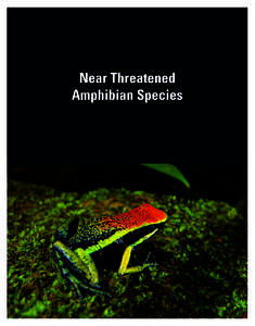 Near Threatened Amphibian Species 610  Threatened Amphibians of the World