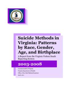 race gender age birth place and suicide method text