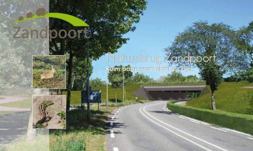 Natuurbrug Zandpoort Ruim baan voor plant en dier IJmuiden  Santpoort