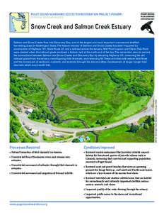 PUGET SOUND NEARSHORE ECOSYSTEM RESTORATION PROJECT (PSNERP) POTENTIAL RESTORATION SITES Snow Creek and Salmon Creek Estuary  IMAGE: Washington State Department of Ecology (2006)