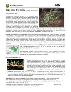 Berberis / Medicinal plants / B. vulgaris / Berberidaceae / Agriculture / Stem rust / Glyphosate / Chemistry / Berberis thunbergii / Botany