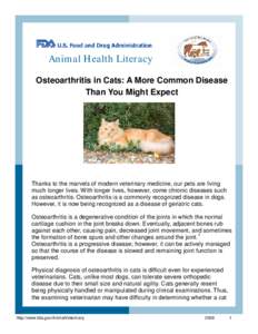 Aging-associated diseases / Rheumatology / Arthritis / Osteoarthritis / Meloxicam / Pain scale / Cat / Noel Fitzpatrick / Hip dysplasia / Medicine / Health / Veterinary medicine