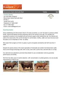 Drensmaine Santa Gertrudis Stud  Tambo QLD