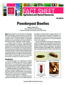 FACT SHEET Agriculture and Natural Resources HYG[removed]Powderpost Beetles