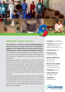 Effiziente Kocher in Peru  Projekttyp: Energieeffizienz Das Programm, an welchem mehrere Nichtregierungsorga-