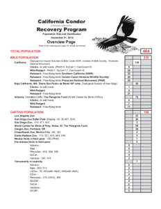 California Condor / Ventana Wildlife Society / California / The Peregrine Fund / World Center for Birds of Prey / Bird / Pinnacles National Monument / San Diego Zoo / Condor / Cathartidae / New World vultures / Zoology