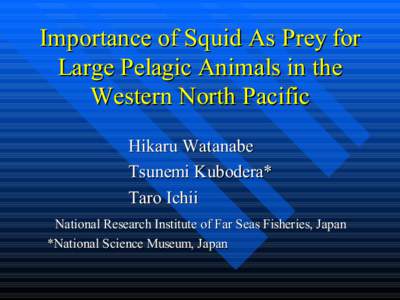 Phyla / Ommastrephidae / Neon flying squid / Shark / Pelagic zone / Histioteuthis / Mesopelagic zone / Squid / Fish / Zoology