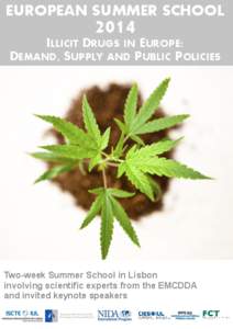 EUROPEAN SUMMER SCHOOL[removed]ILLICIT DRUGS IN EUROPE: DEMAND, SUPPLY AND PUBLIC POLICIES