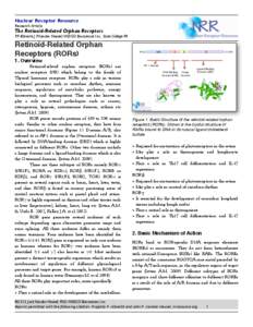 Nuclear Receptor Resource Research Article The Retinoid-Related Orphan Receptors  P.P. Albrecht, J.P.Vanden Heuvel, INDIGO Biosciences Inc., State College PA