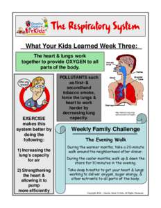 Respiratory therapy / Asthma / Chronic lower respiratory diseases / Occupational asthma / Allergen / Lung / Respiratory disease / Air purifier / Obstructive lung disease / Medicine / Anatomy / Pulmonology