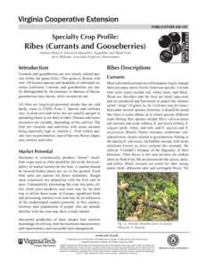 Ribes / Botany / Gooseberry / Redcurrant / White currant / Jostaberry / Cronartium ribicola / Blackcurrant / Disease resistance in fruit and vegetables / Fruit / Berries / Agriculture