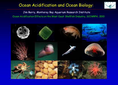 Ocean Acidification and Ocean Biology: Jim Barry, Monterey Bay Aquarium Research Institute Ocean Acidification Effects on the West Coast Shellfish Industry, SCCWRPA, 2010 Ocean Acidification and Ocean Biology: Jim Barry