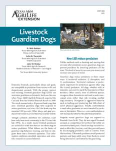 Livestock Guardian Dogs - bw