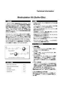 Technical Information  Biotinylation Kit (Sulfo-OSu) Ⅰ はじめに