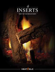 INSERTS Direct Vent Gas Fireplace inserts REKINDLE  THE FIRE