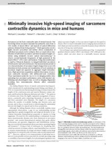 doi:[removed]nature07104  LETTERS Minimally invasive high-speed imaging of sarcomere contractile dynamics in mice and humans Michael E. Llewellyn1, Robert P. J. Barretto1, Scott L. Delp1 & Mark J. Schnitzer1