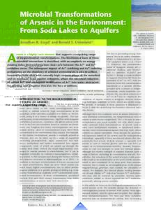 Microbial Transformations of Arsenic in the Environment: From Soda Lakes to Aquifers Jonathan R. Lloyd1 and Ronald S. Oremland2  A