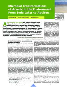 Oxoanions / Bacteria / Arsenic / Arsenate / Arsenite / Microbial metabolism / Sulfurospirillum arsenophilum / Chrysiogenes arsenatis / Ars operon / Arsenate-reducing bacteria / Extremophile / Metalloid