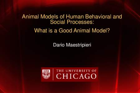 Animal Models of Human Behavioral and Social Processes: What is a Good Animal Model?