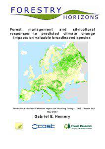 Forest management and silvicultural responses to predicted global climate change on valuable broadleaved species