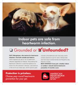 Indoor pets are safe from heartworm infection. 4Unfounded? o Grounded or o FACT: Mosquitoes—the vectors for heartworm