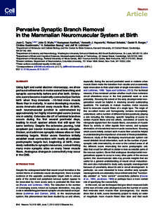 Pervasive Synaptic Branch Removal in the Mammalian Neuromuscular System at Birth