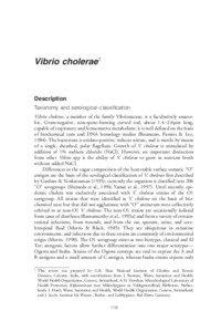 Vibrio cholerae1  Description
